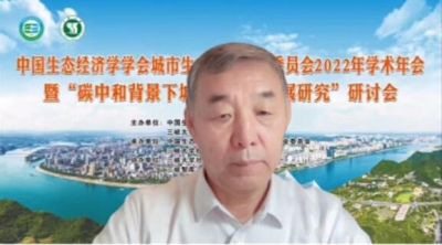 李俊峰：碳中和的本质是从资源依赖走向技术依赖的发展转型